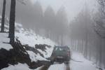 IMG 0013
