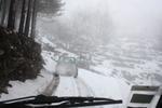 IMG 0014