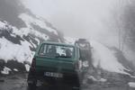IMG 0018
