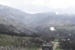 IMG 0031