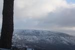 IMG 0088