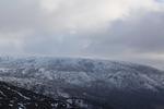 IMG 0089