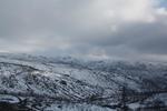 IMG 0091