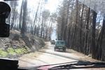 IMG 9962