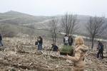 IMG 9987