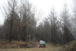 IMG 9988