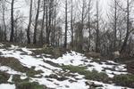 IMG 9991