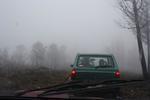IMG 9992
