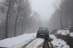 IMG 9994