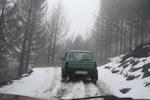IMG 9997