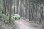 IMG 0852