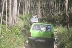 IMG 0897
