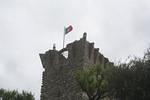 IMG 0898