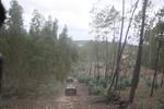 IMG 0909
