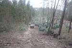 IMG 0910