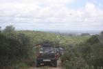 IMG 0918