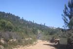 IMG 0931