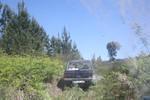 IMG 0933