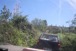 IMG 0937