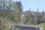 IMG 0938