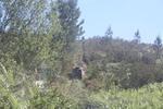 IMG 0939
