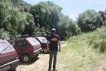 IMG 0965