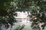 IMG 0982
