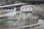IMG 0989