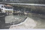 IMG 0990