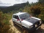 bmps2003 (100)
