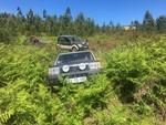 hugorocha (30)