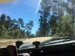hugorocha (66)