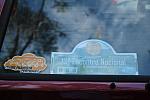 IMG-0295