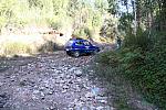 IMG-0308