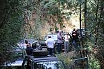 IMG-0331
