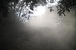IMG-0332