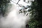 IMG-0333