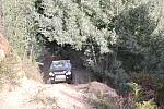 IMG-0343
