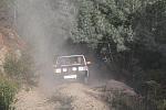 IMG-0345