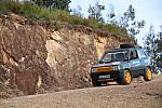 IMG-0352