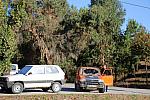 IMG-0372