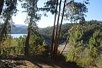 IMG-0381