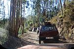 IMG-0383