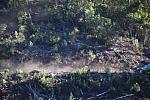 IMG-0391
