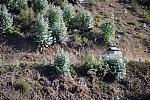 IMG-0392