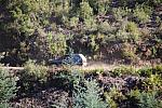 IMG-0394