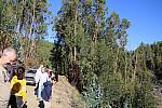 IMG-0396