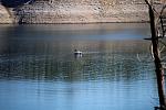 IMG-0397