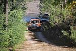 IMG-0405
