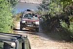 IMG-0421